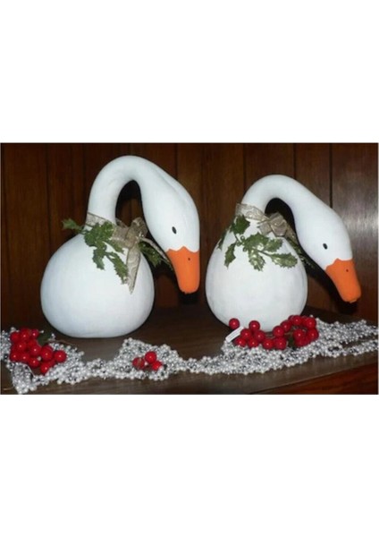 Nadit Ithal Kuğu Su Kabağı Tohumu 6 Adet Tohum Kabak Tohumu