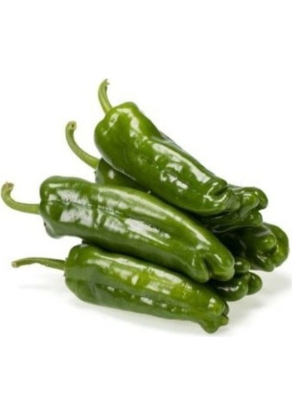 Meşhur Üç Burun Mazamort Biber Tohumu 25 Adet Tohum