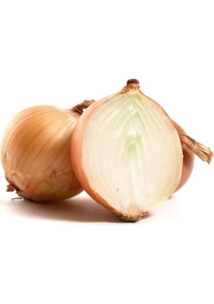 Agrobazaar Onion Soğan* 50+ Tohum