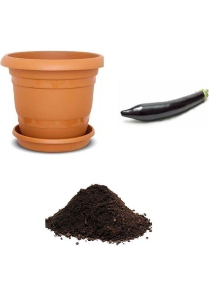 Siyah Kemer Patlıcan Tohumu Ekim Seti