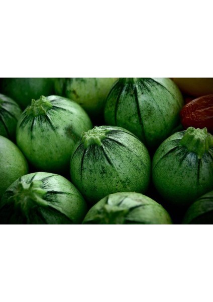 10 Adet Organik Yuvarlak Kabak Tohumu