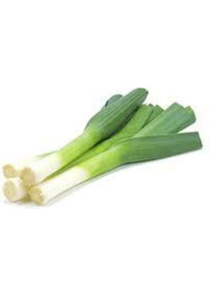 200 Adet Yeşil Prasa Tohumu