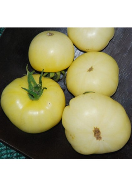 20 Adet White Wonder Domates Tohumu