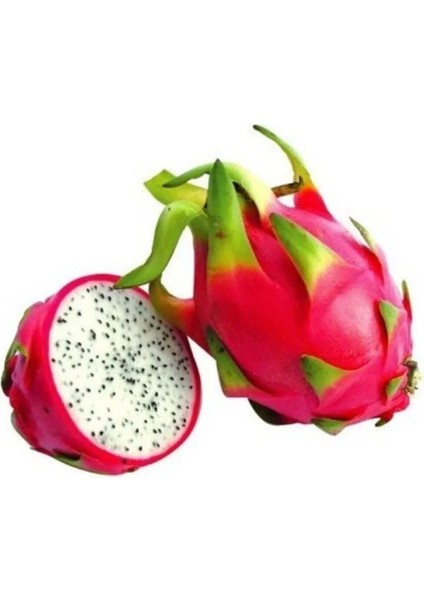 Bodur Saksılık Pitaya Meyvesi Tohumu 10 Adet Tohum Pithaya Fruit