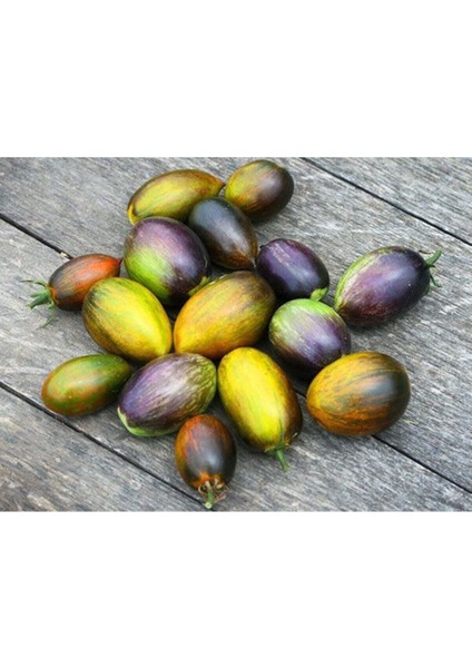 10 Adet Vignette Domates Tohumu