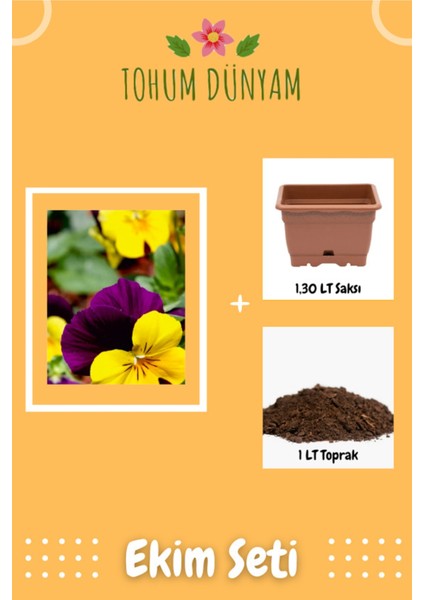 Hercai Menekşe (Viola) Çiçek Tohumu Ekim Seti