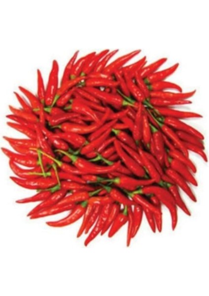 Ithal Çok Acı Macar Biberi Tohumu 20 Adet Tohum Macar Biber Tohumu