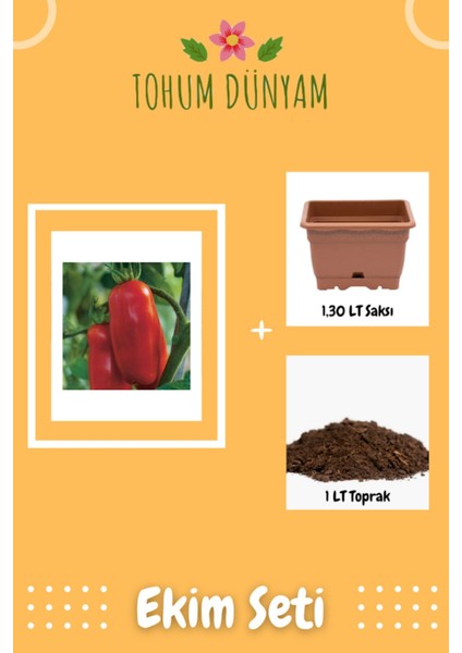 San Marzano Domates Tohumu Ekim Seti