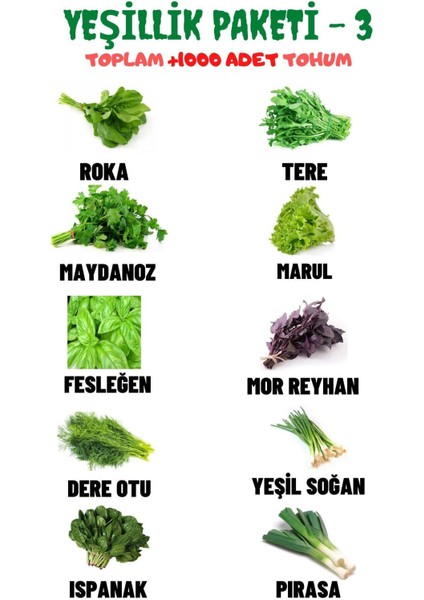 Yeşillik Paketi - 3, Toplam 10 Çeşit ve +1000 Adet Muhteşem Yeşillik Tohum Paketi