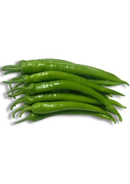 Sivri Acı Kıl Biber 25+ Tohum