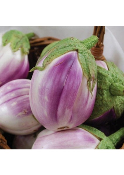 Italyan Rosa Patlıcan Tohumu