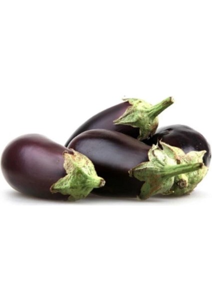 Antep Dolmalık Kurutmalık Patlıcan Tohumu 25 Adet Tohum