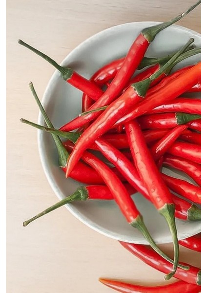 Kırmızı Acı Macar Biberi Tohumu / 20+ Adet Tohumu