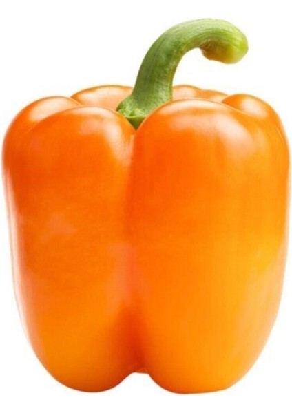 Nadir Ithal Turuncu Dolmalık Biber Tohumu 5 Adet Tohum