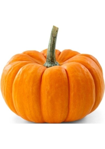 Iri Bal Kabağı Tohumu 5 Adet Kabak Tohumu