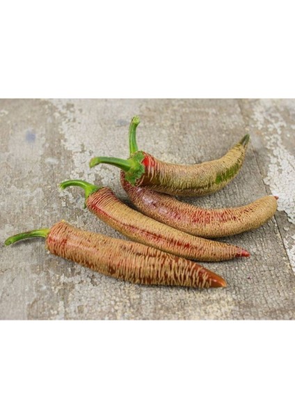 Rezha Macedonian Acı Biber Tohumu