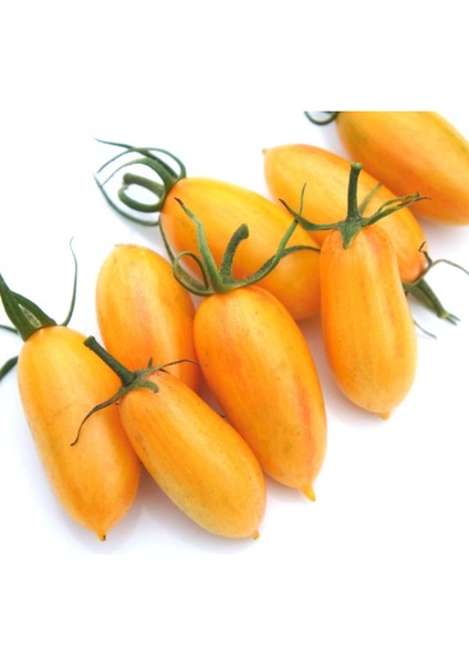 20 Adet Blush Domates Tohumu