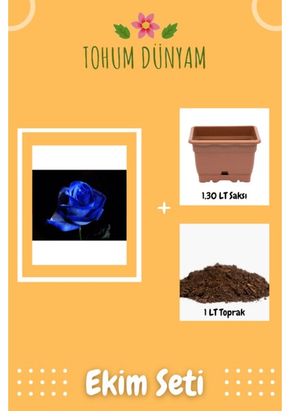 Gece Mavisi Gül Tohumu Ekim Seti