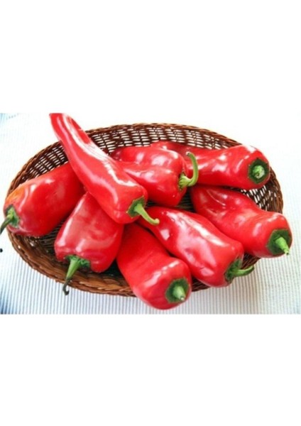 Kapya Biber (Kapia Pepper) 25 Adet Tohum