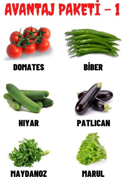 Avantaj Paketi-1 Domates, Biber, Hıyar, Patlıcan, Maydanoz, Marul Tohumları, Toplam +300 Adet Tohum
