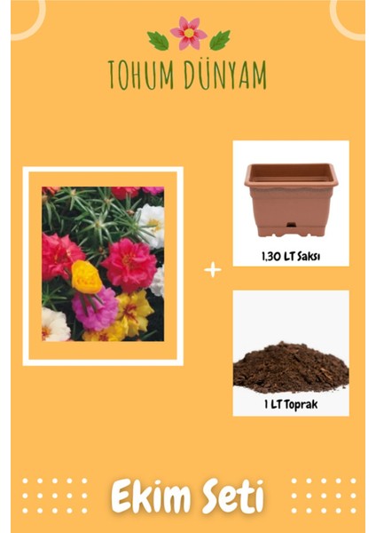 Karışık Renkli Ipek (Şellaki) Çiçeği Tohumu Ekim Seti