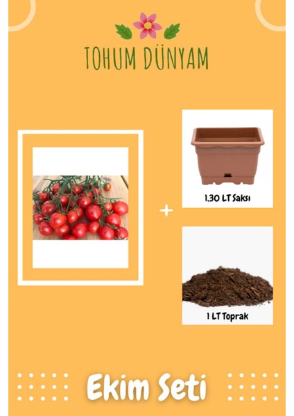 Sweet Cherry Domates Tohumu Ekim Seti