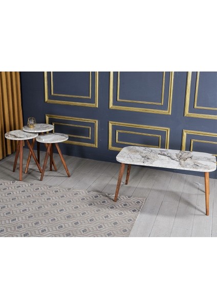 Zigon Sehpa ve Orta Sehpa Set Torna Kr Efes