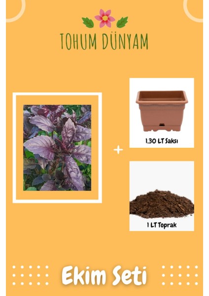 Mor Reyhan Tohumu Ekim Seti