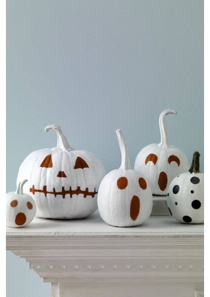 5 Adet Polar Bear Bal Kabağı Tohumu