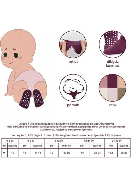 Bistyle 6'lı Sneakers Kaymaz Penye Çorap 20102 Gül Kurusu