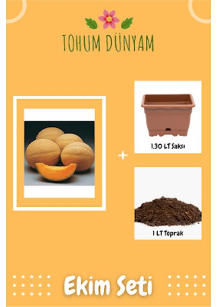 Turuncu Kavun Tohumu Ekim Seti