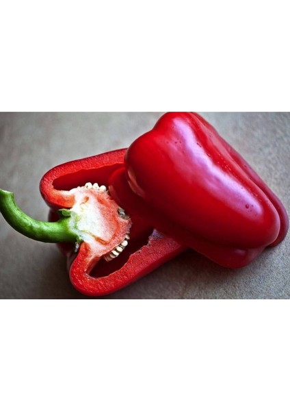 40 Adet Kırmızı Dolmalık Biber Tohumu