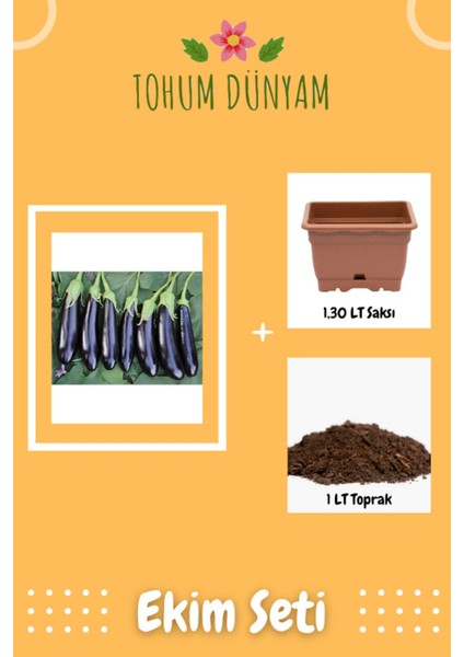 Kemer Patlıcan Tohumu Ekim Seti