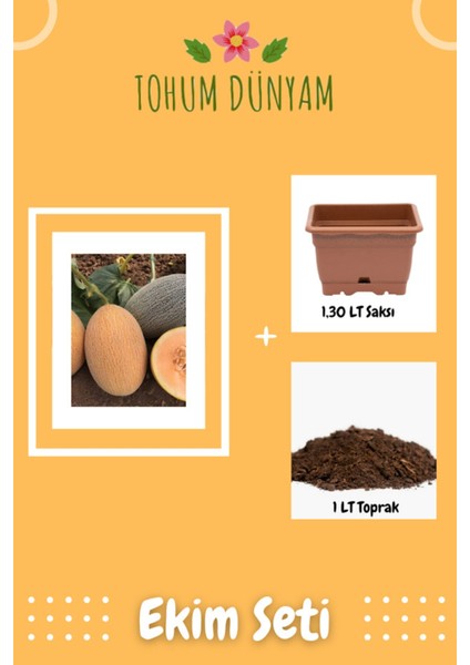 Ananas Kavun Tohumu Ekim Seti