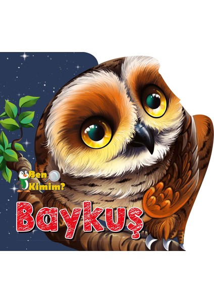 Ben Kimim? - Baykuş