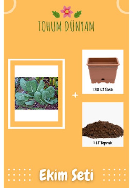 Kara (Yaprak) Lahana Tohumu Ekim Seti