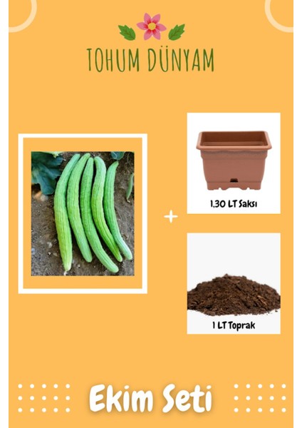 Yerli Köy Tipi Acur Tohumu Ekim Seti