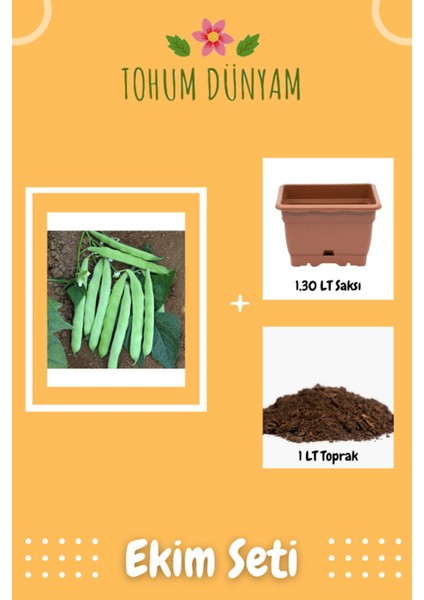 Kevser (Sarı Kız) Oturak Fasülye Tohumu Ekim Seti
