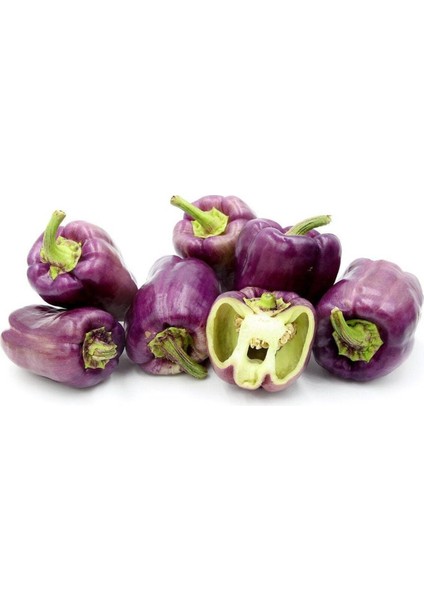 20 Adet Purple Bell Biber Tohumu