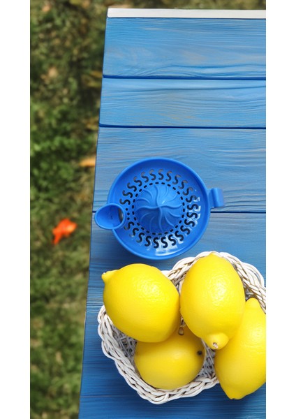 Cam Limon Sıkacağı Mavi Kapaklı 300 ml fiyatları
