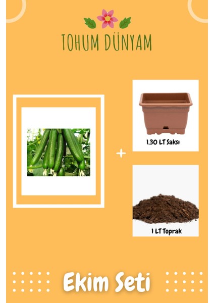 Bol Verimli Erkenci Badem Salatalık Tohumu Ekim Seti