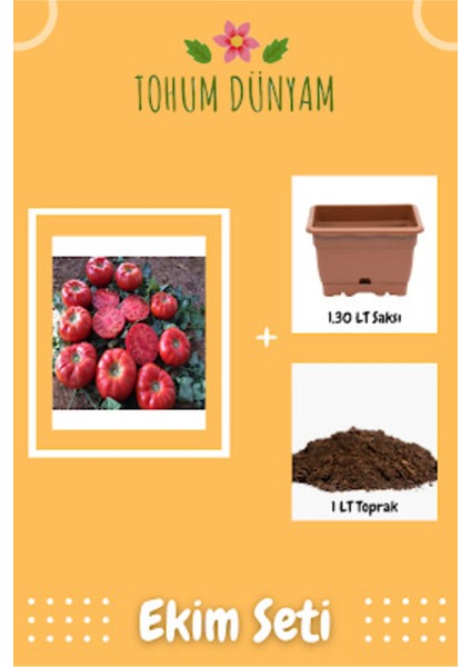 Köy Domatesi Tohumu Ekim Seti