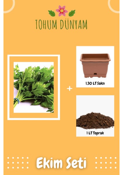 Yerli Maydanoz Tohumu Ekim Seti