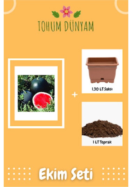 Halep Siyah Karpuz Tohumu Ekim Seti