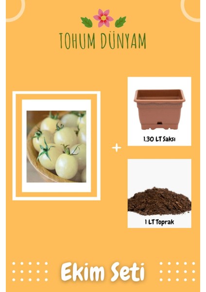 Saksılık Beyaz Cherry Domates Tohumu Ekim Seti