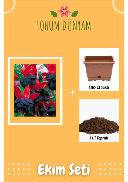 Kırmızı Siyah Küpe Çiçeği Küpeli Tohumu Ekim Seti