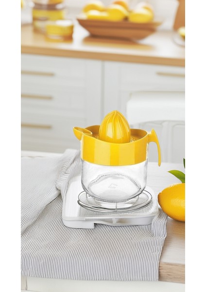 Cam Limon Sıkacağı Mavi Kapaklı 300 ml fırsatları