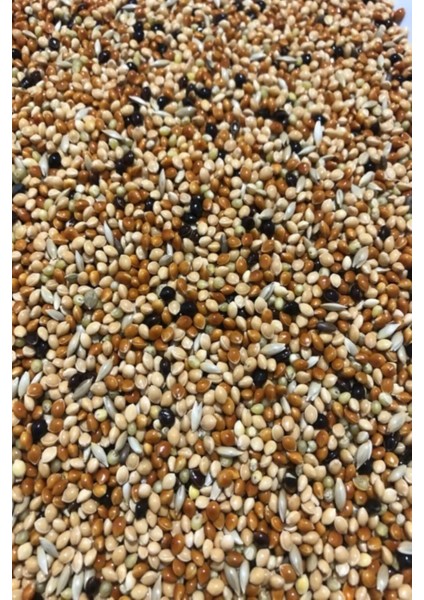 Muhabbet Kuşu Yemi Karışık Vitaminli 1 kg - Meyvesiz Yeni Mahsül Saf Kuş Yemi fırsatları