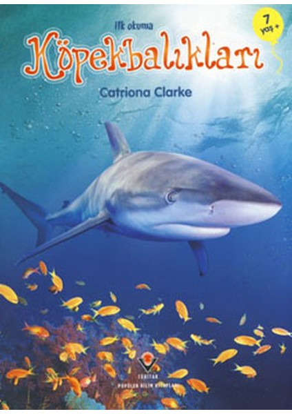 Ilk Okuma - Köpekbalıkları