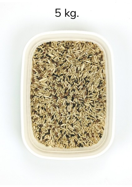 Kanarya Karışık Kuş Yemi Doğal Taze - 5 kg